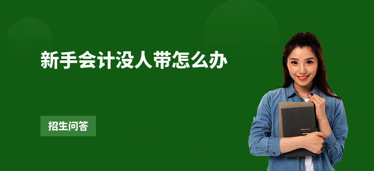 新手会计没人带怎么办